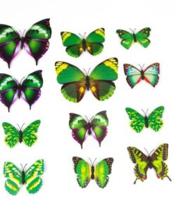 3D VLINDERS GROEN