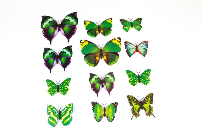 3D VLINDERS GROEN